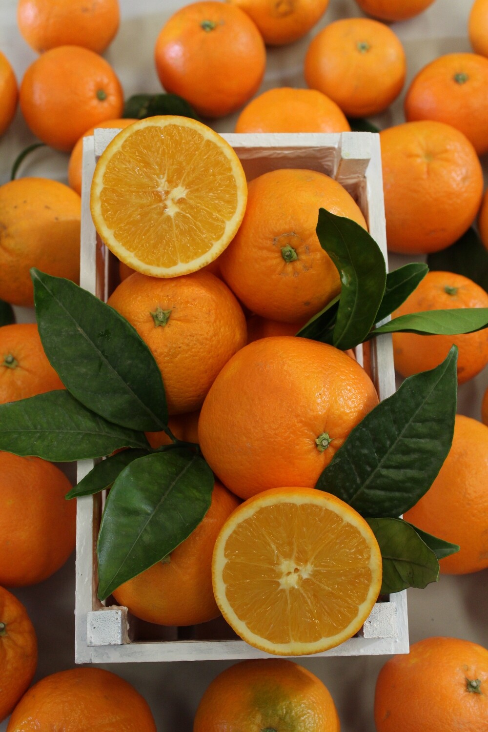 Caja de Naranjas Navelina (15 kg)