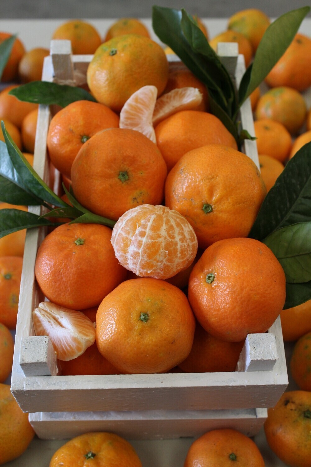 Caja de Naranjas Navel Lane Late (9 kg) + Mandarinas Clemenvilla (5 kg) + Arroz Albufera (1 kg)