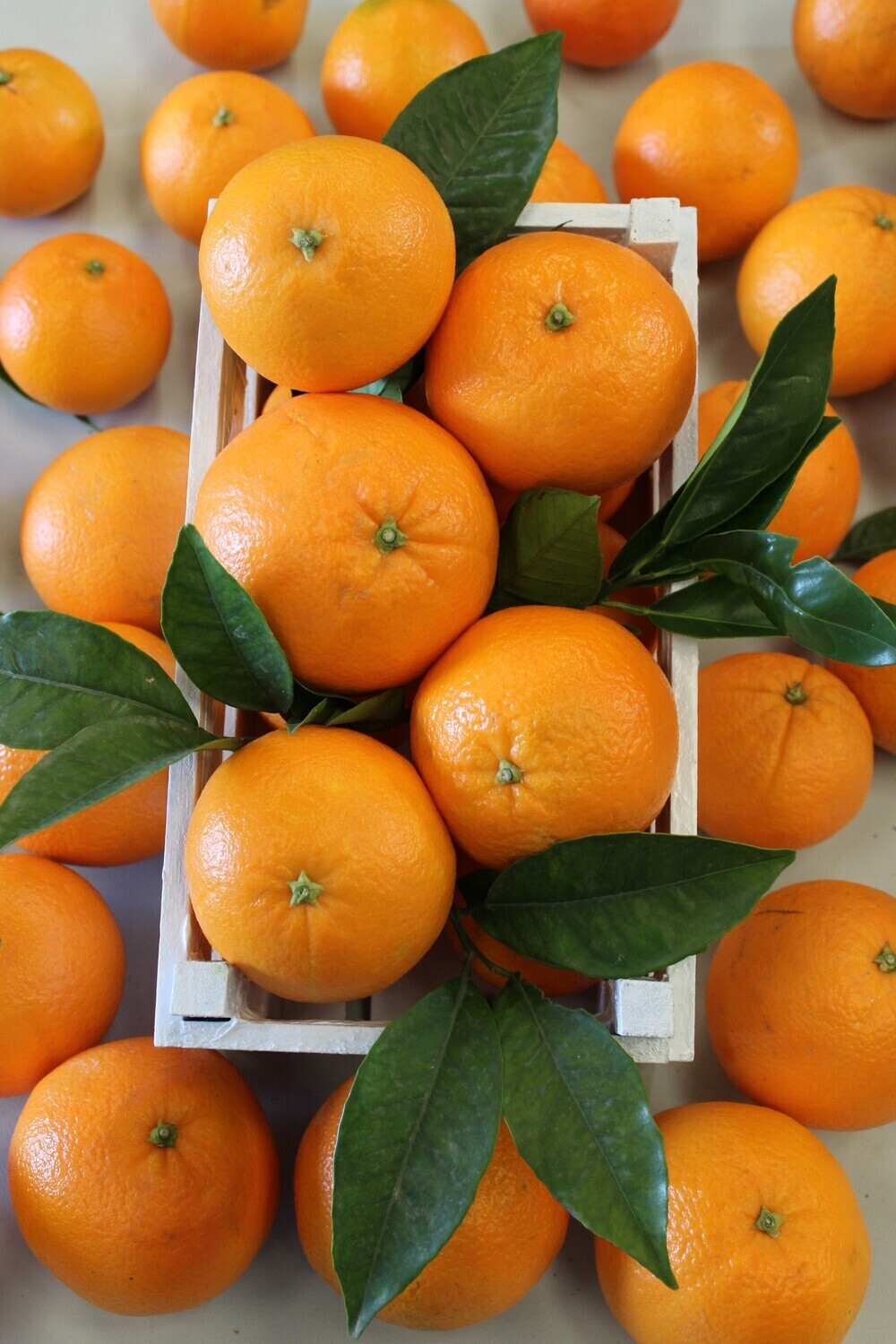 Caja de Naranjas Navel Lane Late (9 kg) + Mandarinas Clemenvilla (5 kg) + Arroz Albufera (1 kg)