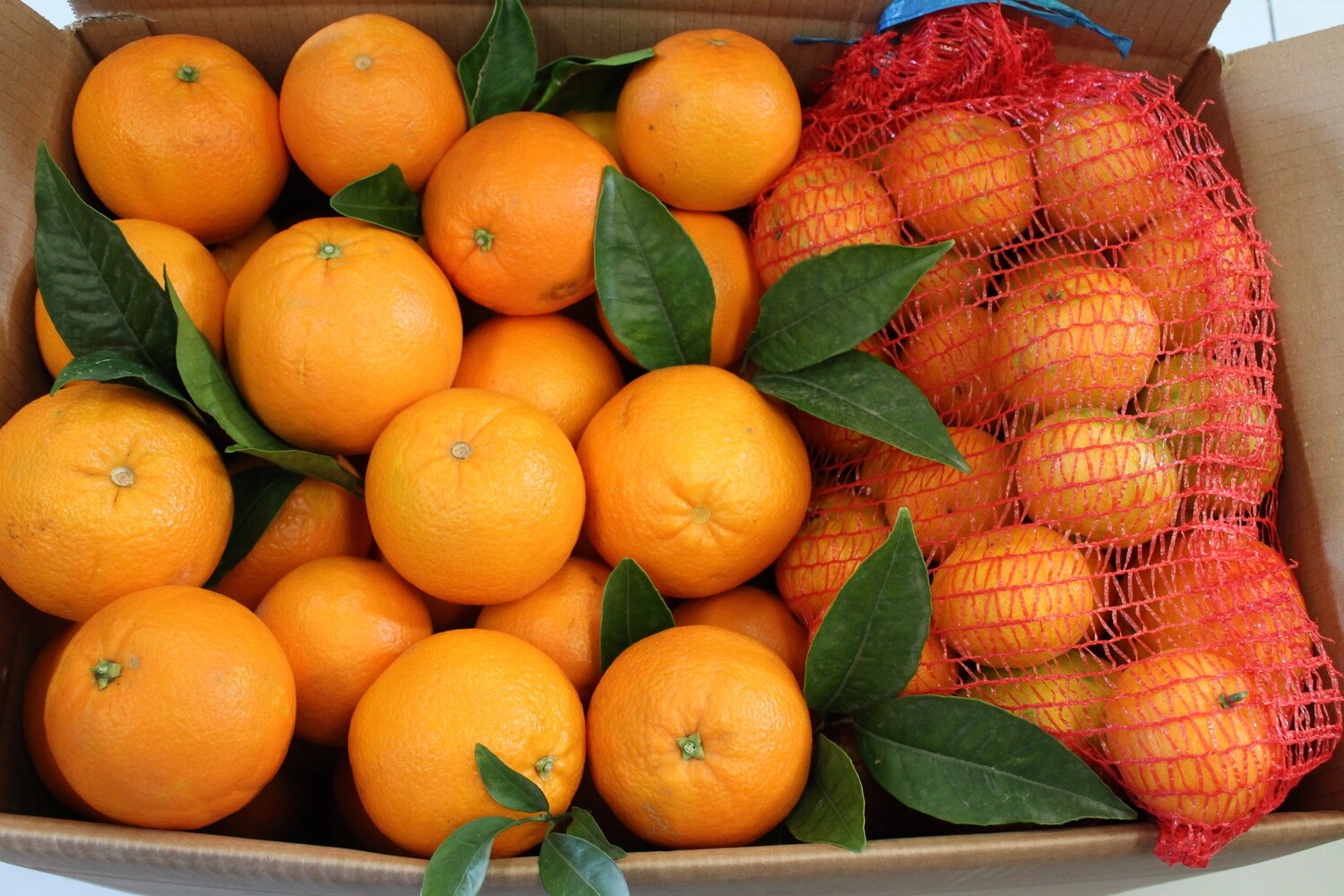 Caja de Naranjas Navelina (10 kg) + Mandarinas Orogrande(5 kg)