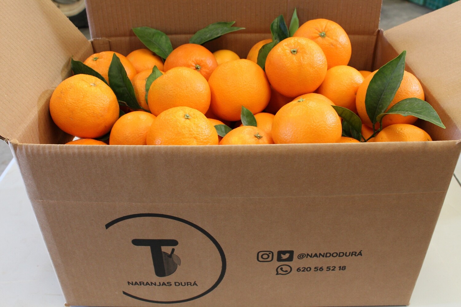 Caixa de Taronjes Valencia Barberina (15 kg) 