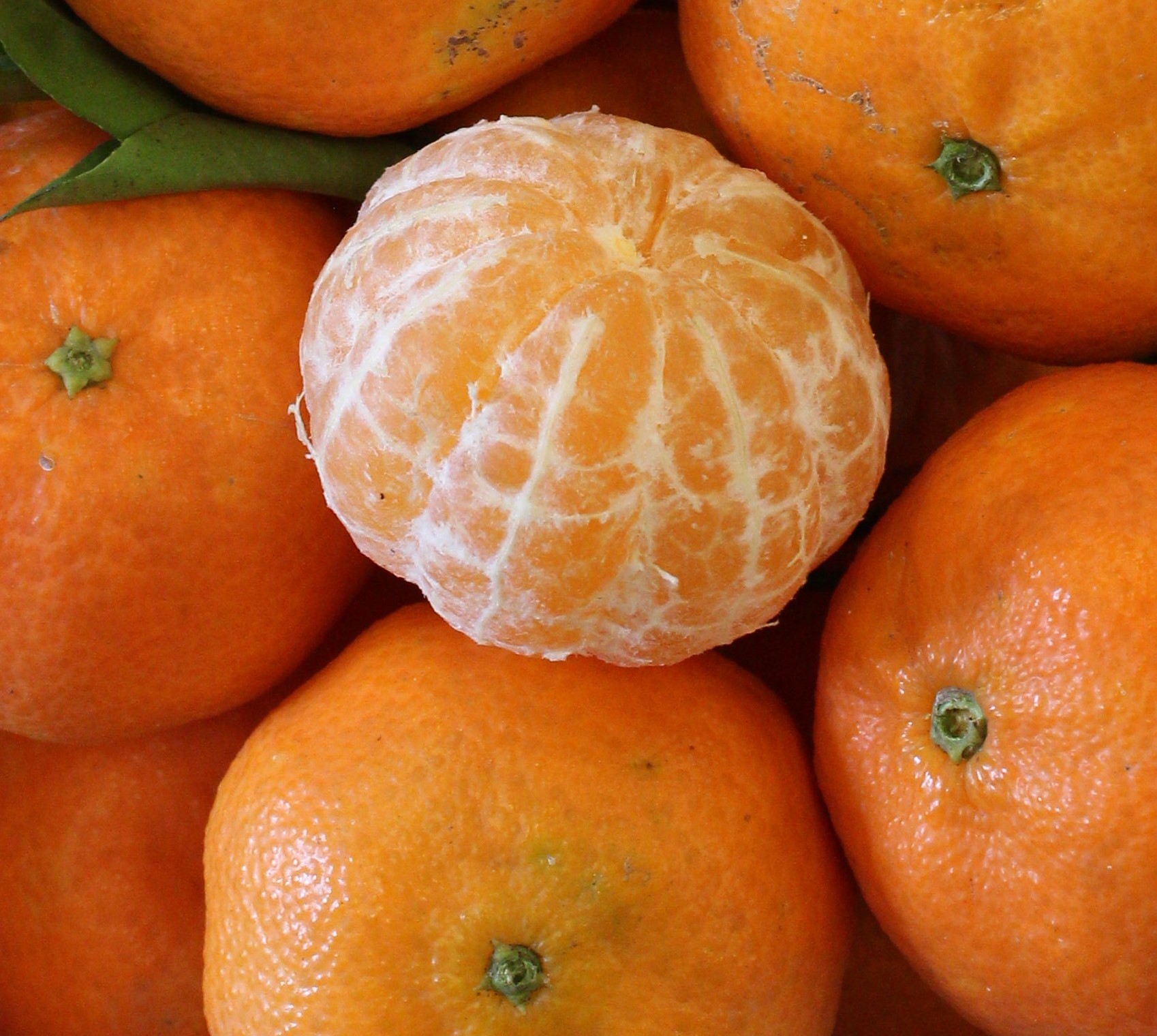 Caja de Mandarinas Clemenvilla (15 kg)