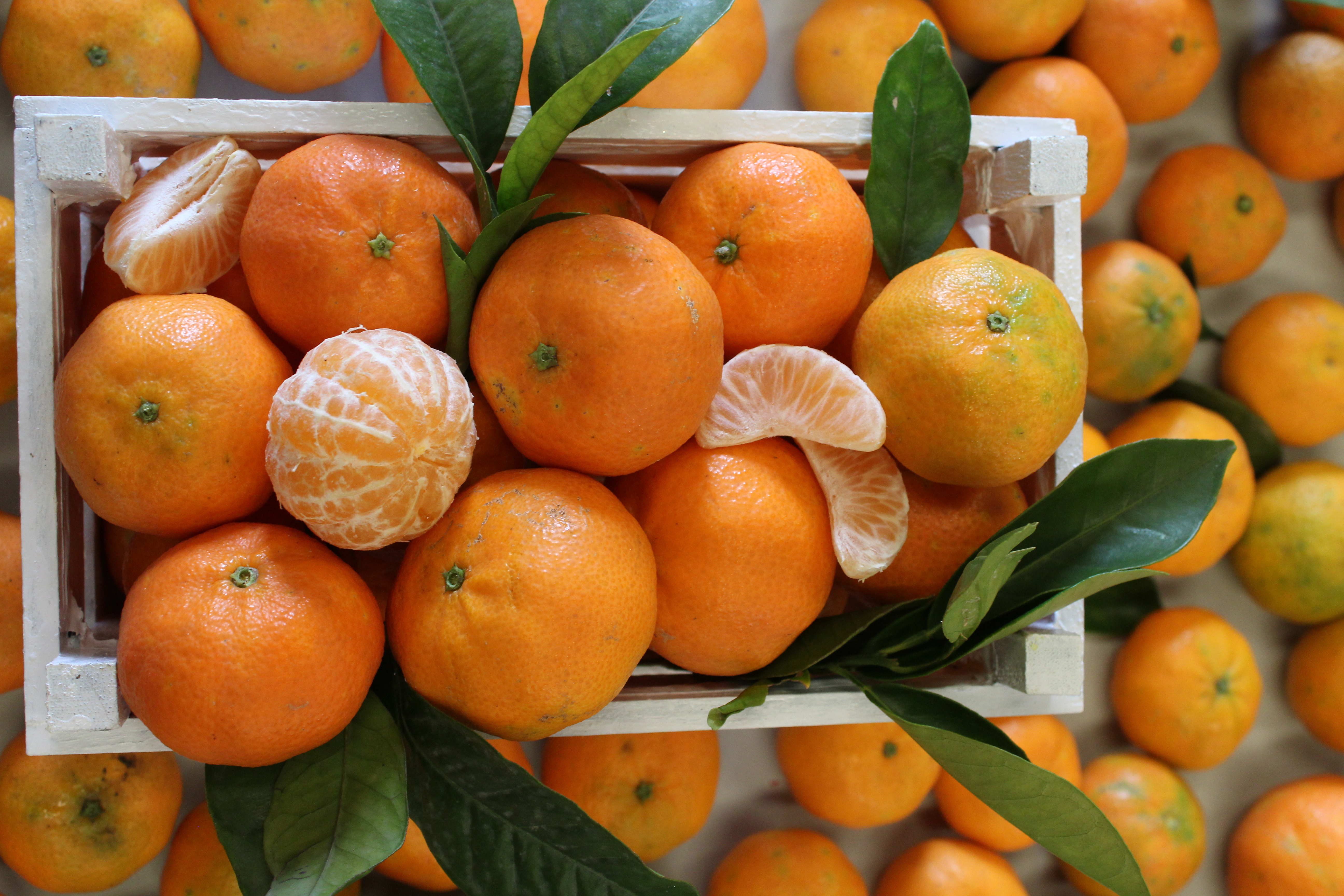 Caja de Mandarinas Clemenvilla (15 kg)