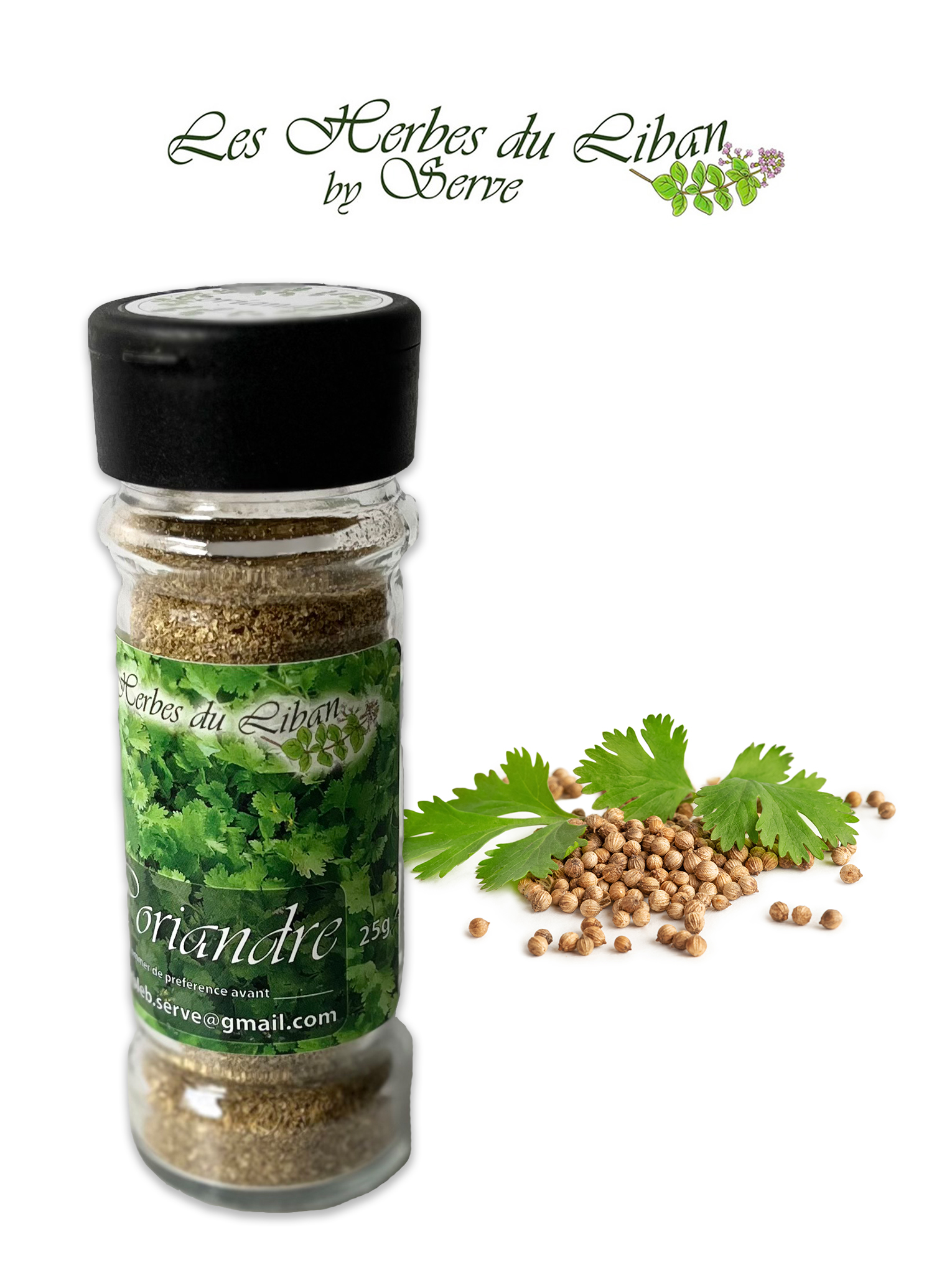 Coriander