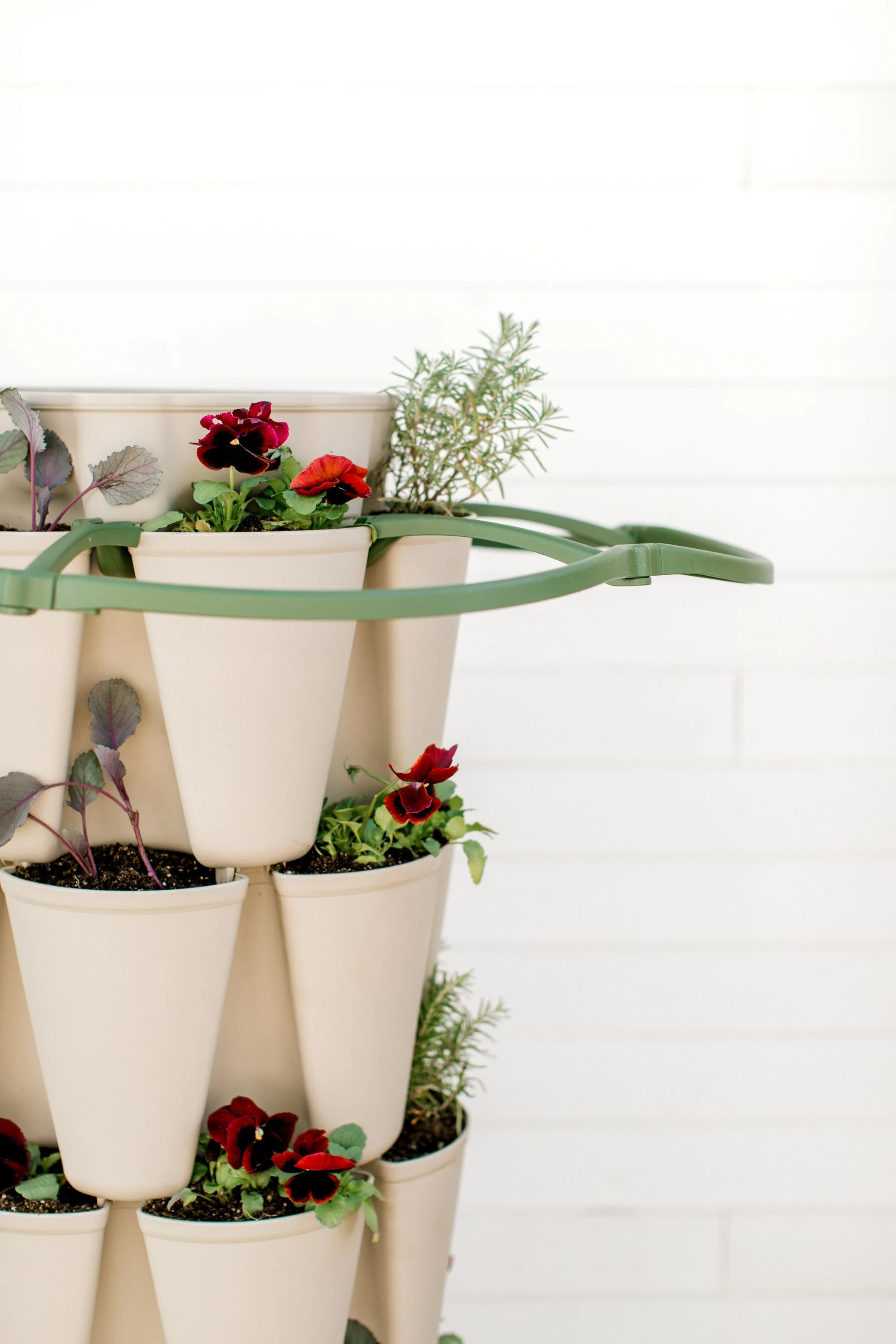 GreenStalk Plant Supports