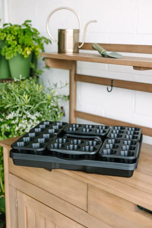 Seed Starter Kit