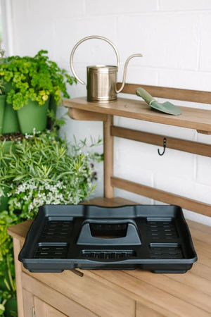 Seed Starter Kit