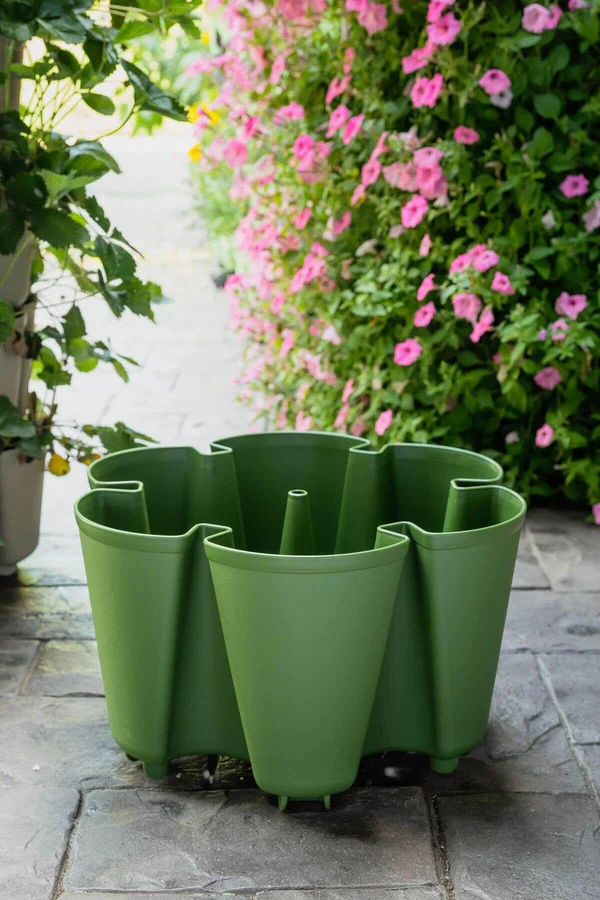 GreenStalk Original Layer