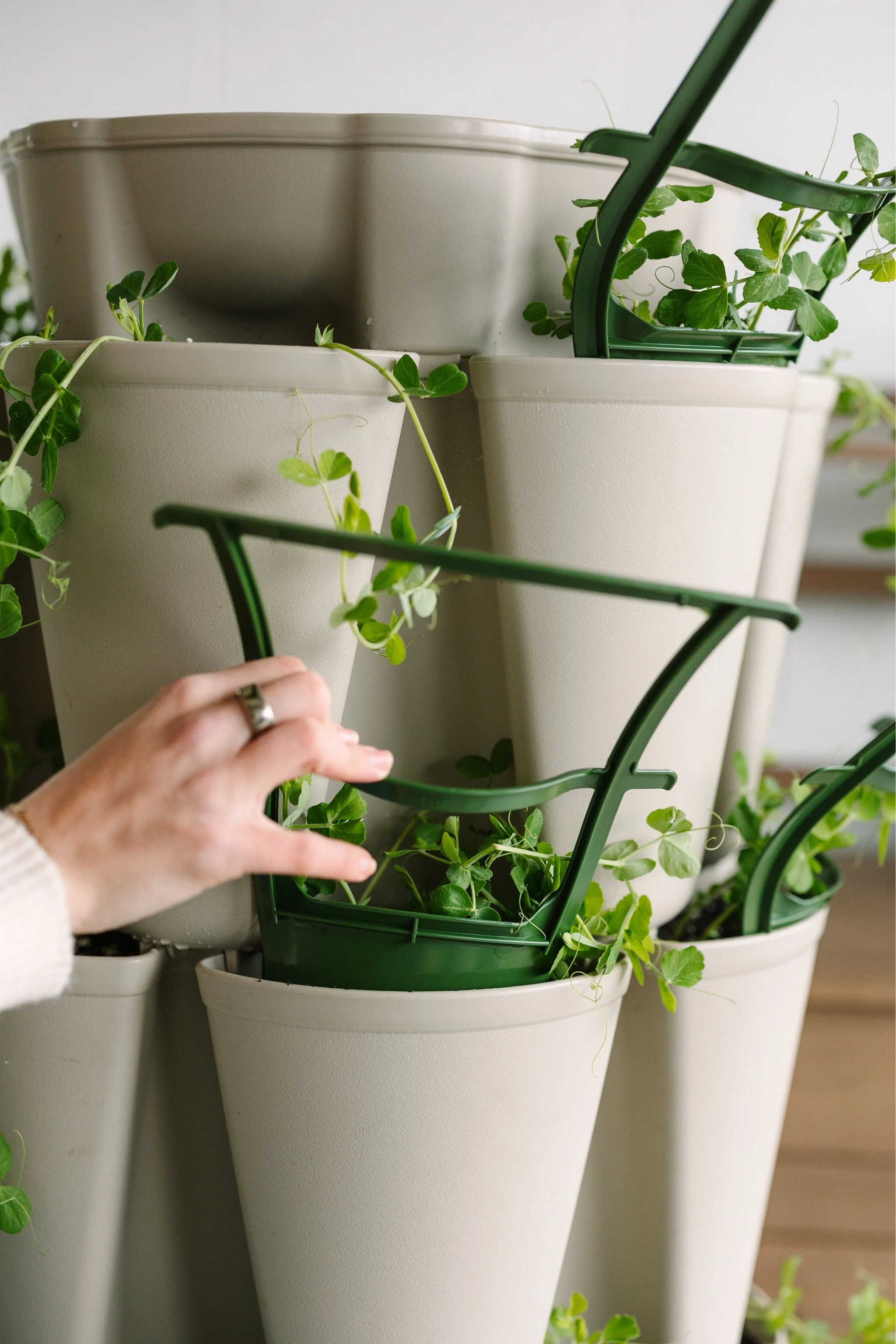 Pre-order GreenStalk Trellis