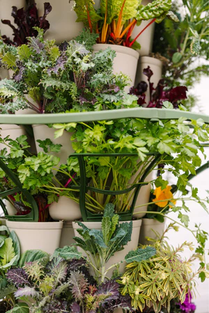 Pre-order GreenStalk Trellis