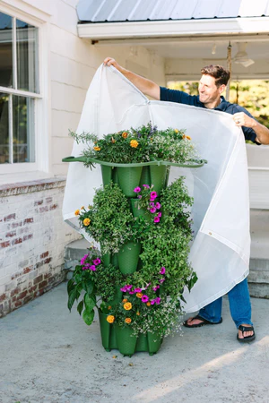 Insect Protection Cover