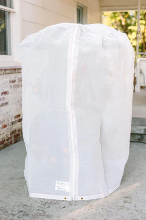 Insect Protection Cover