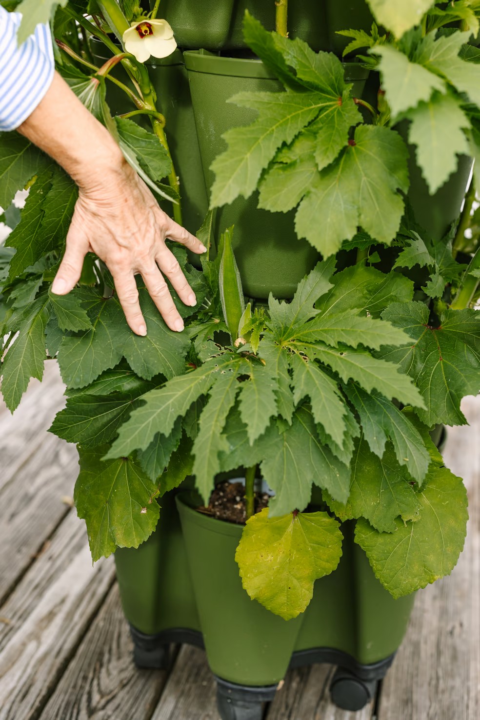 GreenStalk Original Vertical Planter, 5 tier