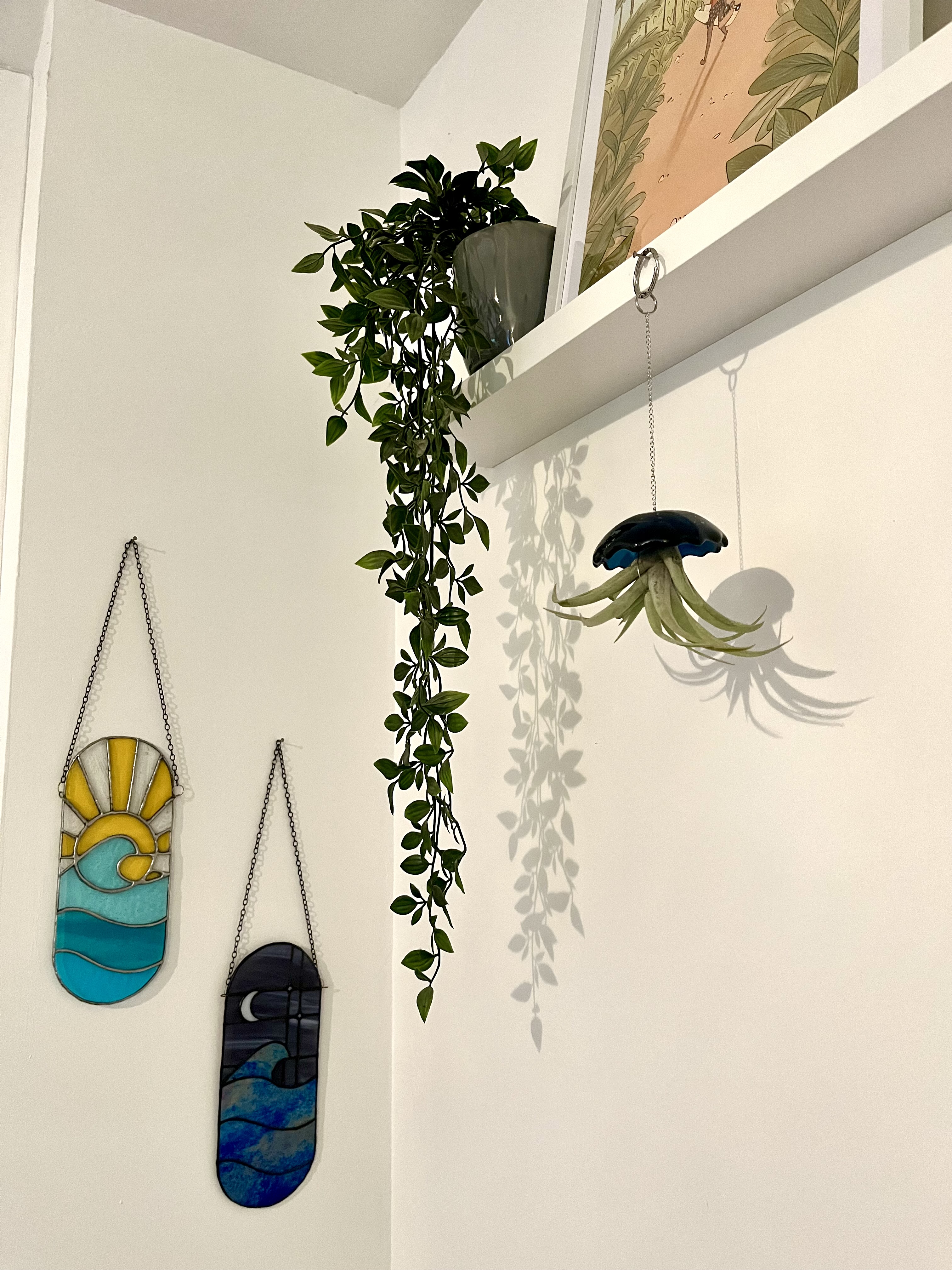 Mini Méduse Tillandsia 