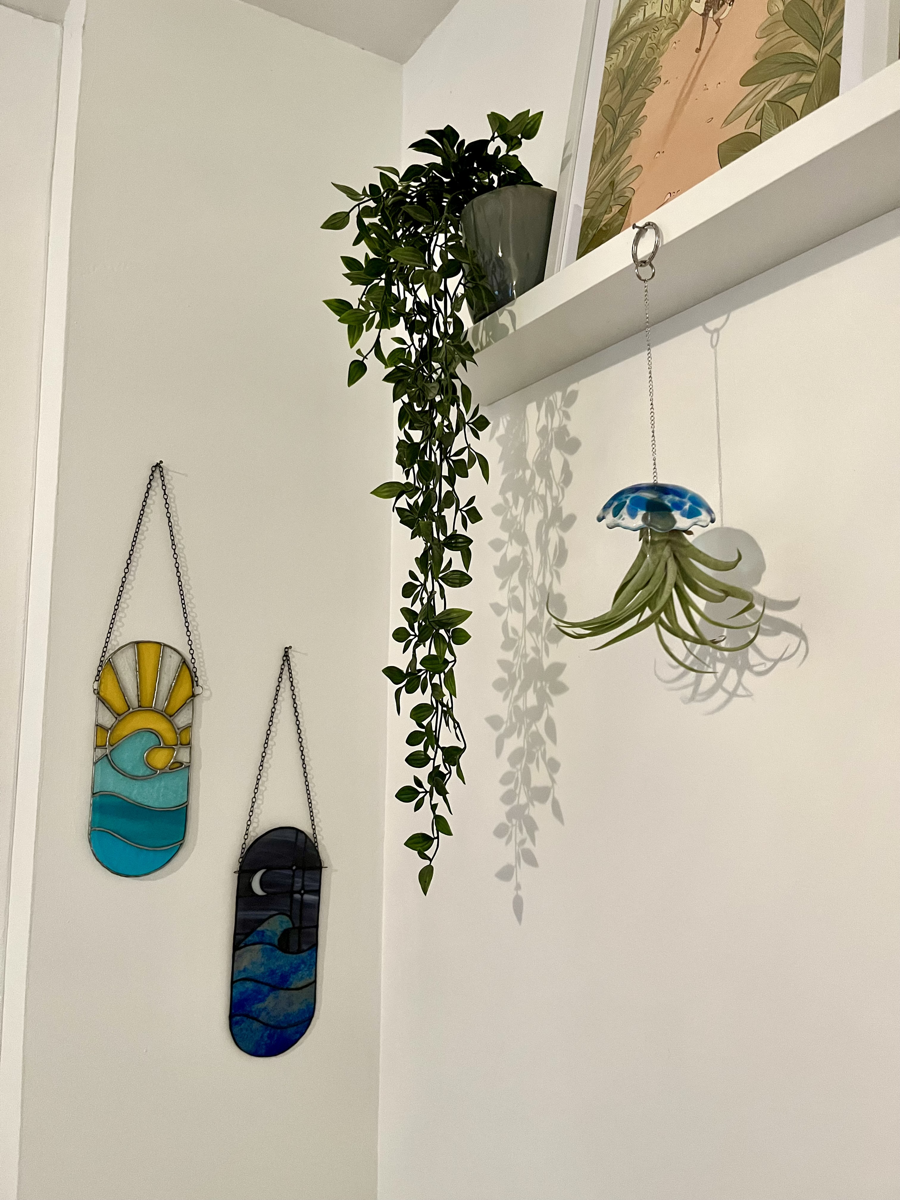 Mini Méduse Tillandsia 