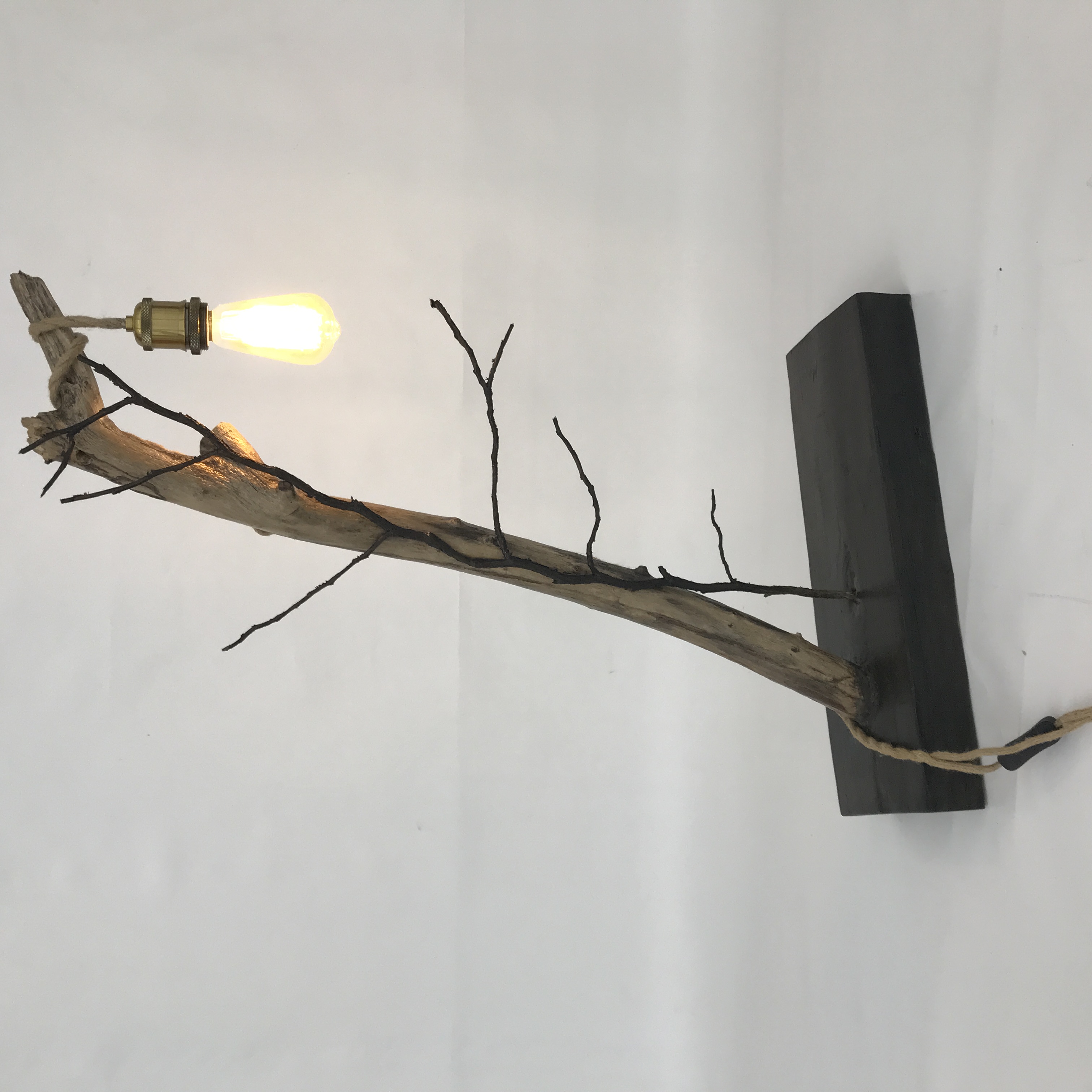 Lampe branche lière