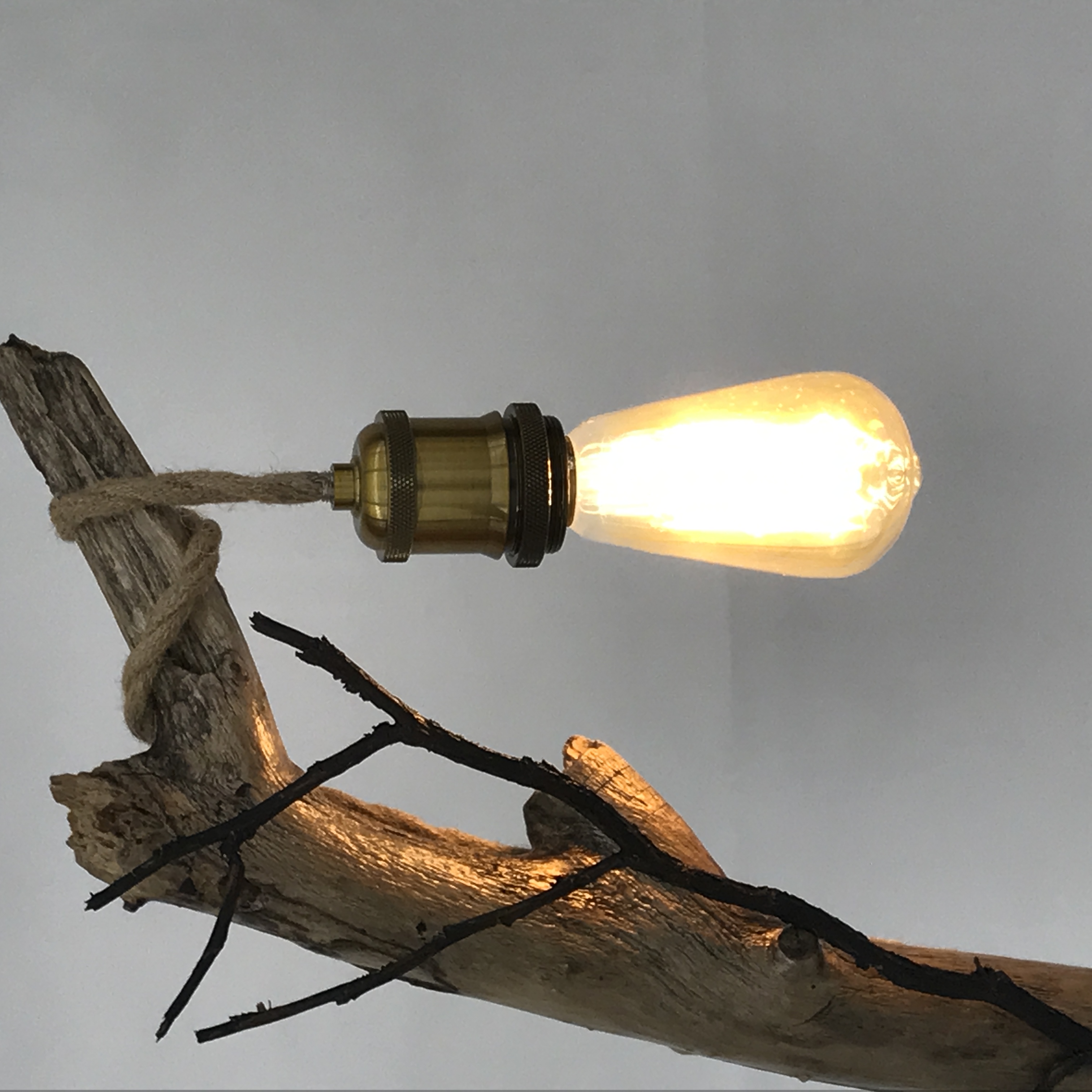 Lampe branche lière
