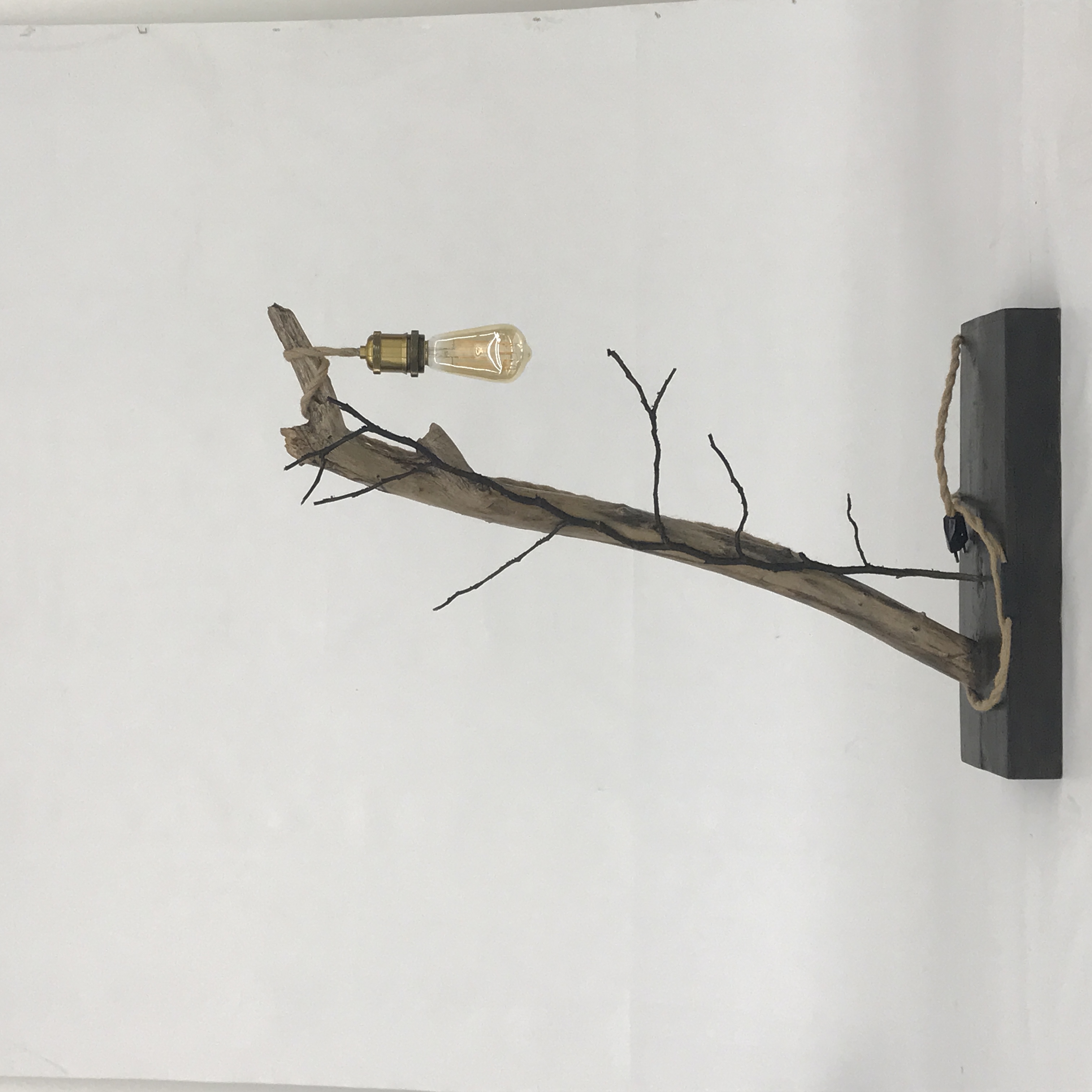 Lampe branche lière