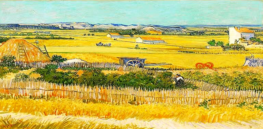 Harvest at La Crau by Vincent Van Gogh reproduction
