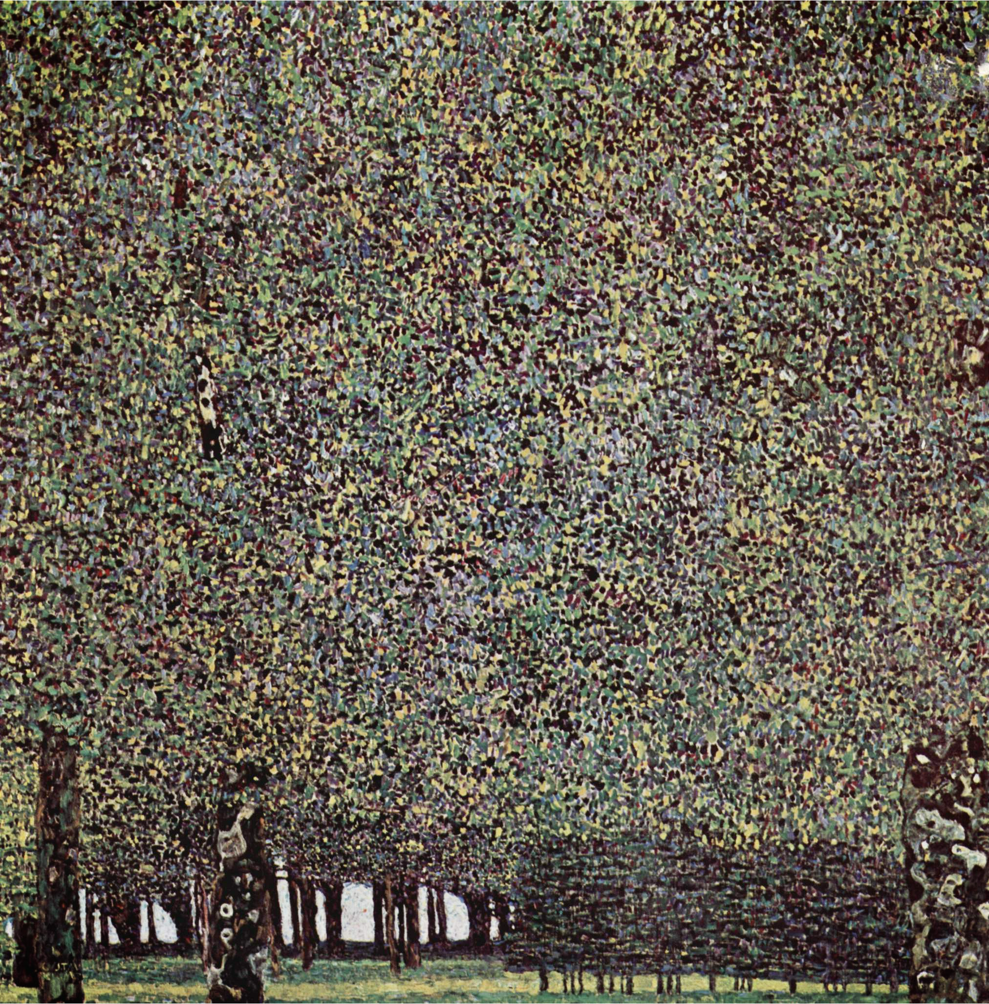 The Park by Gustav Klimt reproduction
