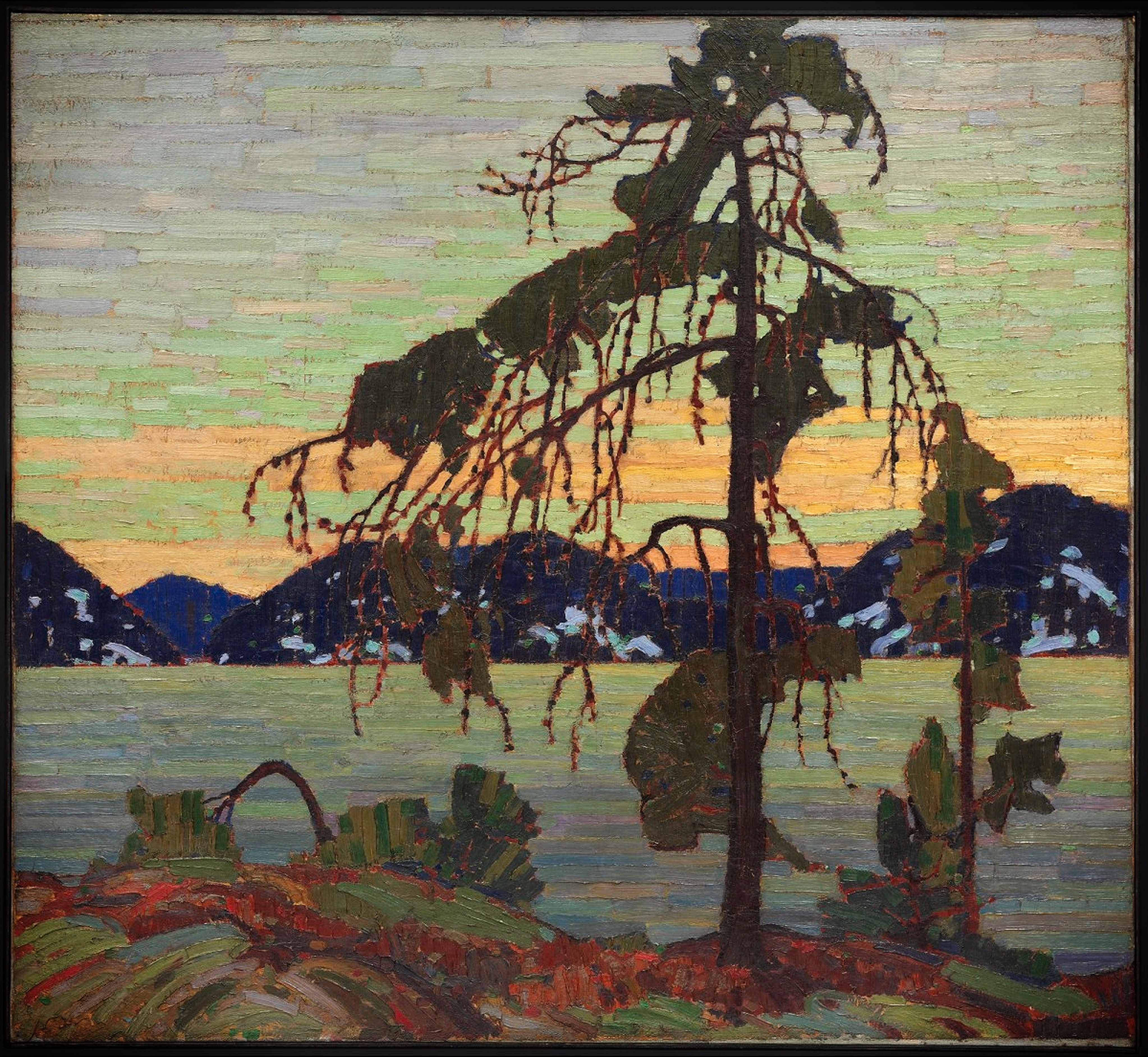 The Jack Pine 1916 by Tom Thomson Reproduction