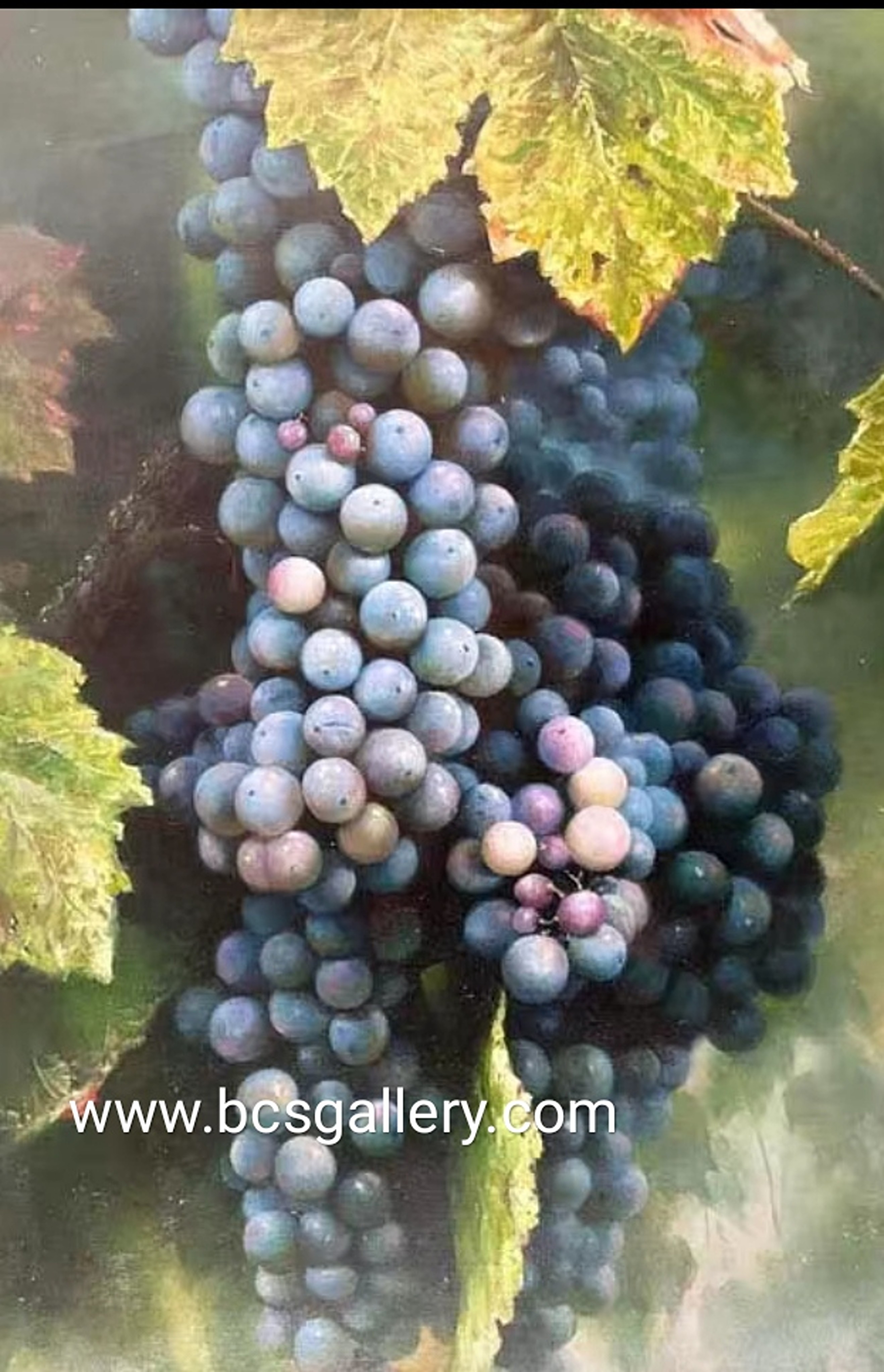 Original Grapevines Painting Grapes Oil Painting on canvas 100% Hand Painted by Andrew Ang