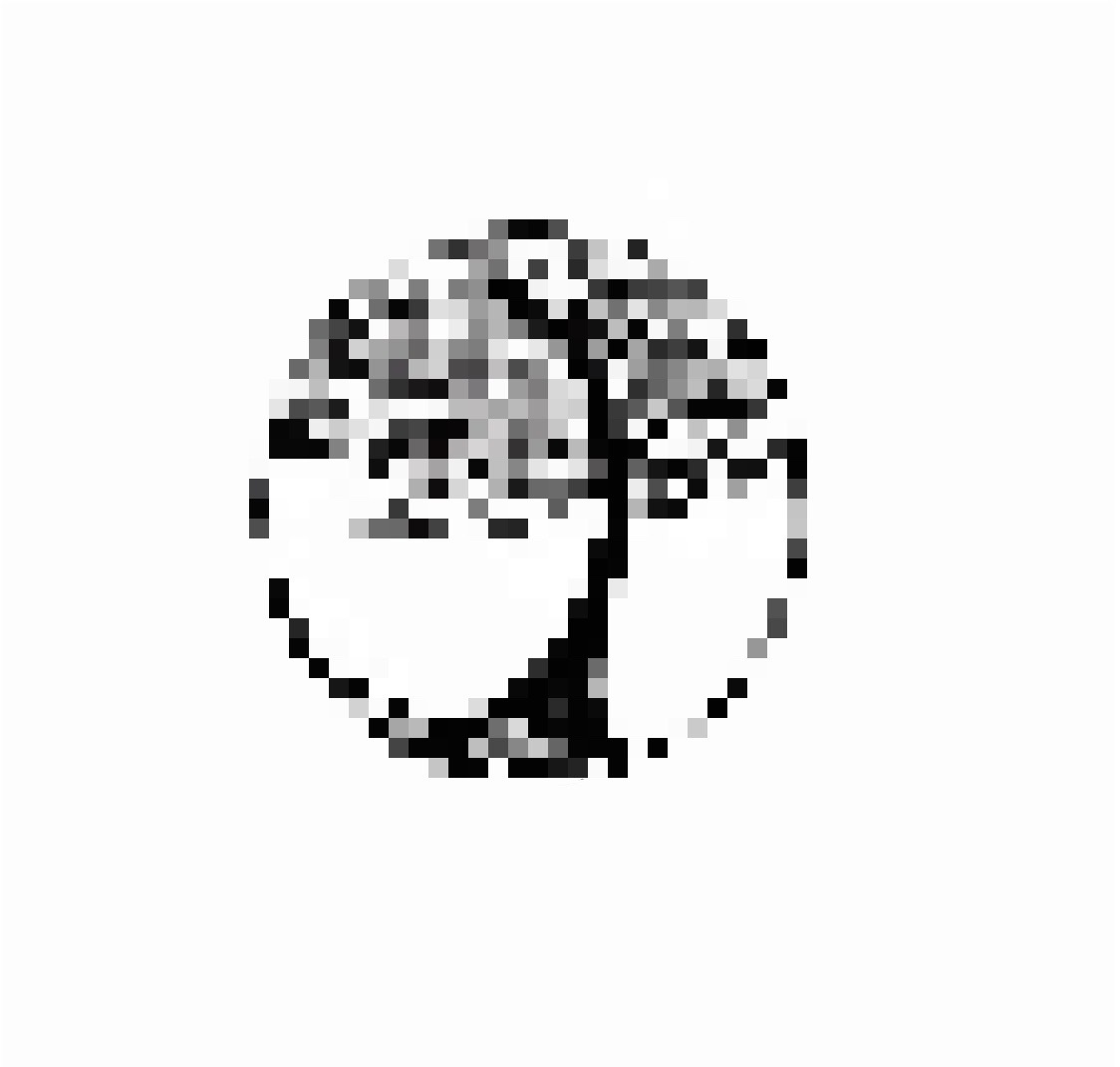 Commissioned Tattoo Design