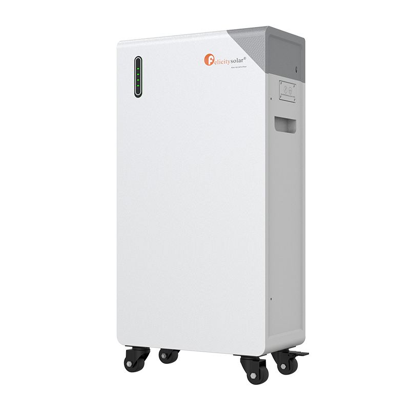 FelicityESS FLB48314TG1 Low Voltage LFP Battery