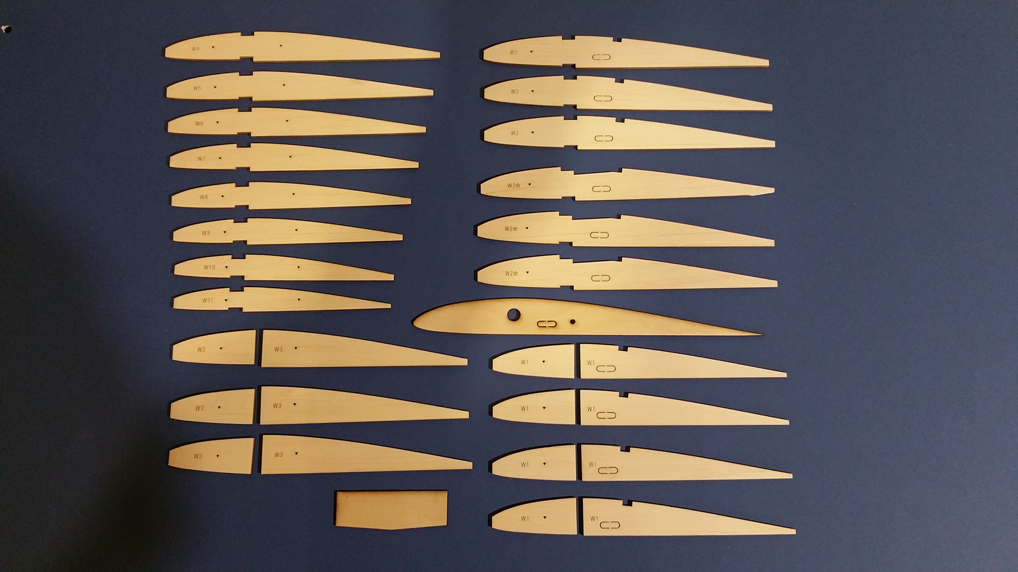 Sagitta 900 - 100" Span RC Model Glider-Airtronics- Laser Cut Balsa/Ply Rib Sets
