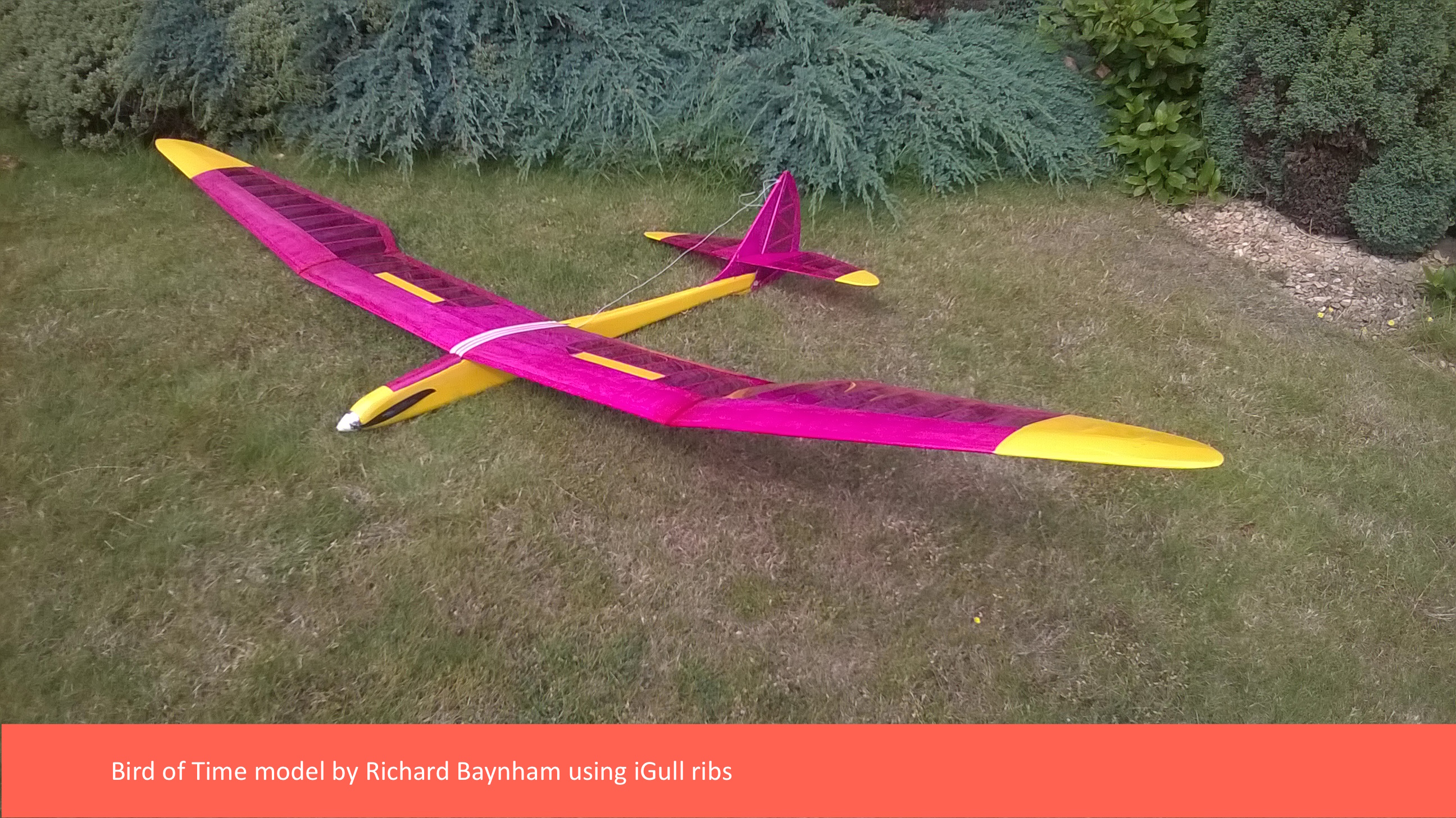 'Bird of Time' - Classic 3m RC Model Glider - Laser-cut Balsa/ply Rib Set