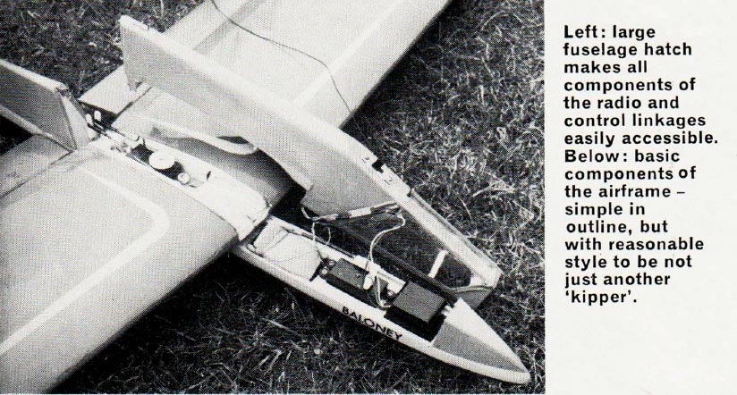 Baloney ~ 48" RC Slope Soarer ~ Laser-cut Balsa Wing RIB & Former SET