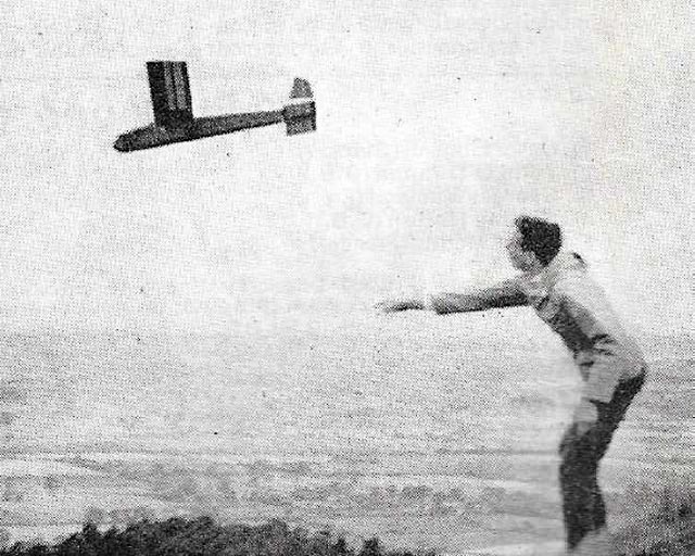 Wizard of Oz  ~ 48" RC Slope Soarer glider ~ Laser-cut Balsa Wing/Tail RIB SET