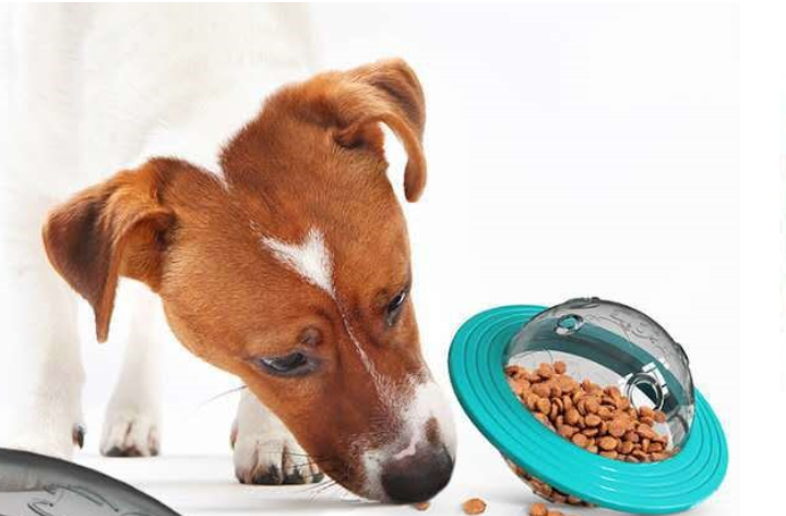 Dog Food Leakage Toy 