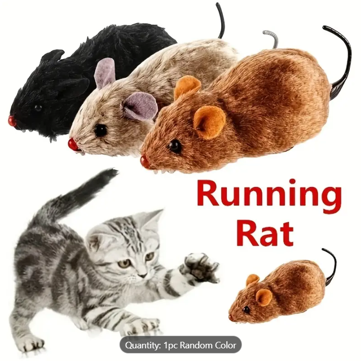 Running Rat