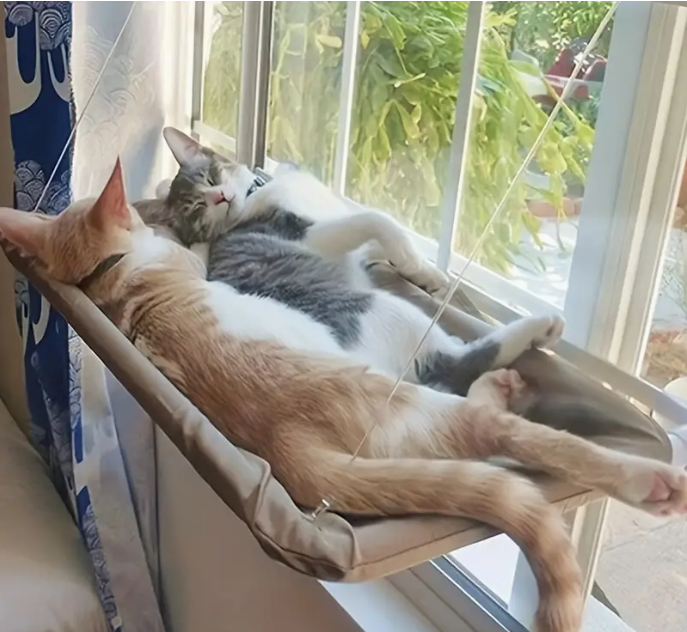 Comfy Cat Window Perch