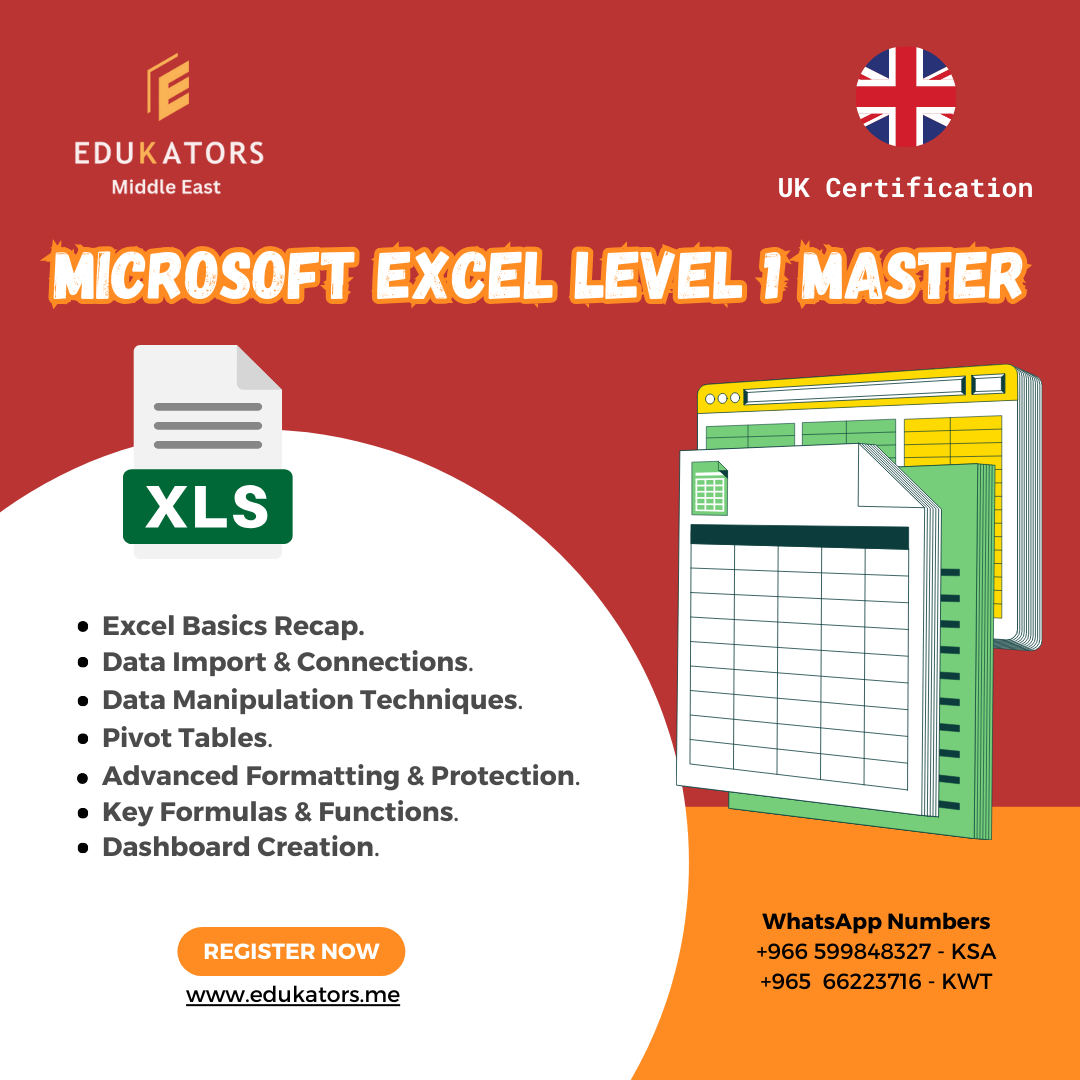 Microsoft Excel level 1 Master