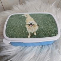 Lunchbox en drinkfles