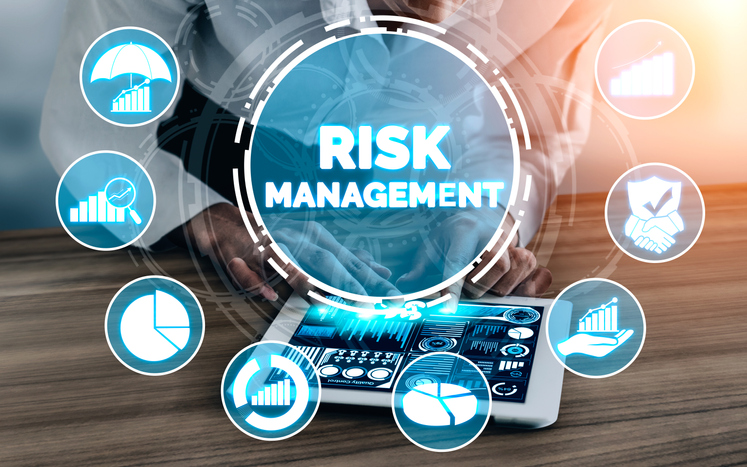 Risk and Quality Management in Projects 