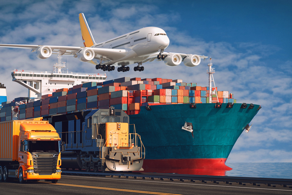 Logistics and Supply Chain Management (Training Program)