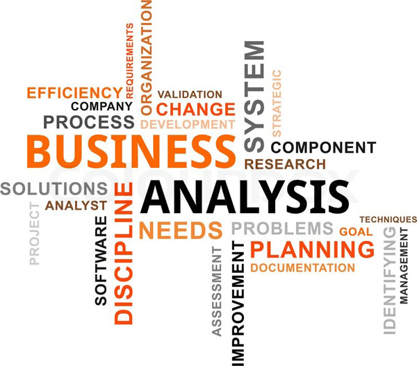 Fundamentals of Business Analysis (Training Program)