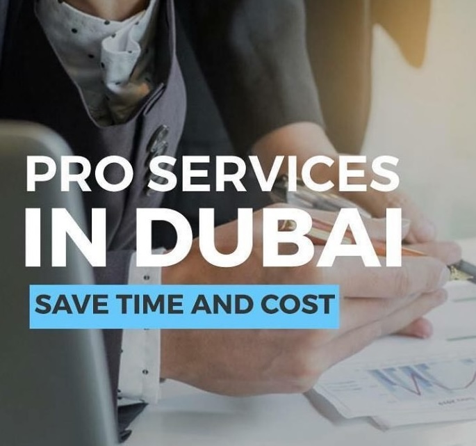 Public Relations Services (PRO)