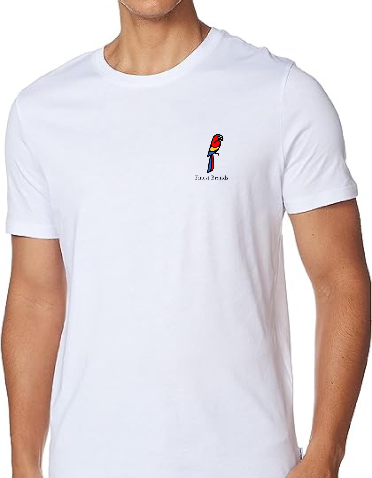 Macaw T-Shirt