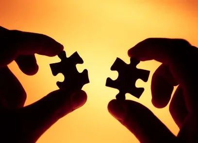 The puzzle of motivation