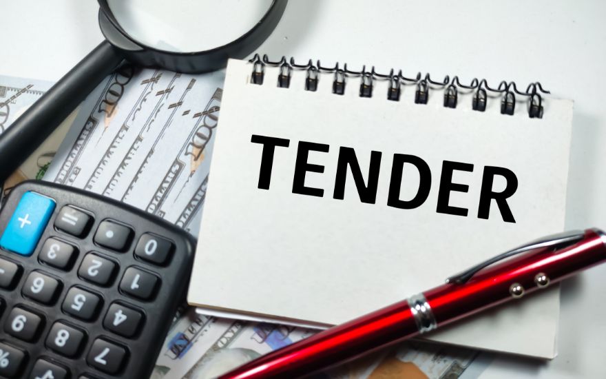 ✅ Government & Enterprise Tender Preparation