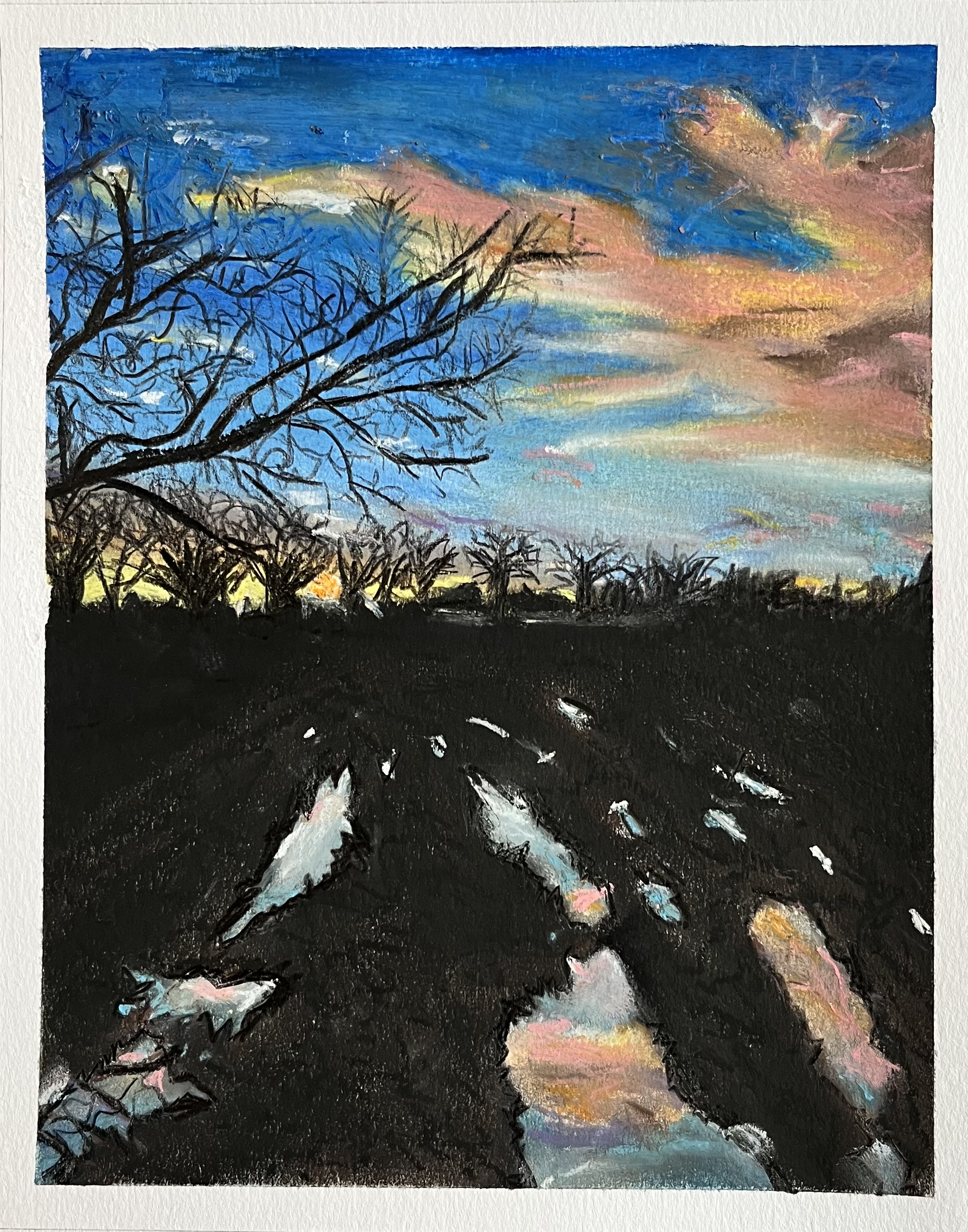 Shropshire blues