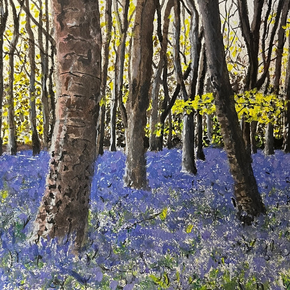 Bluebells