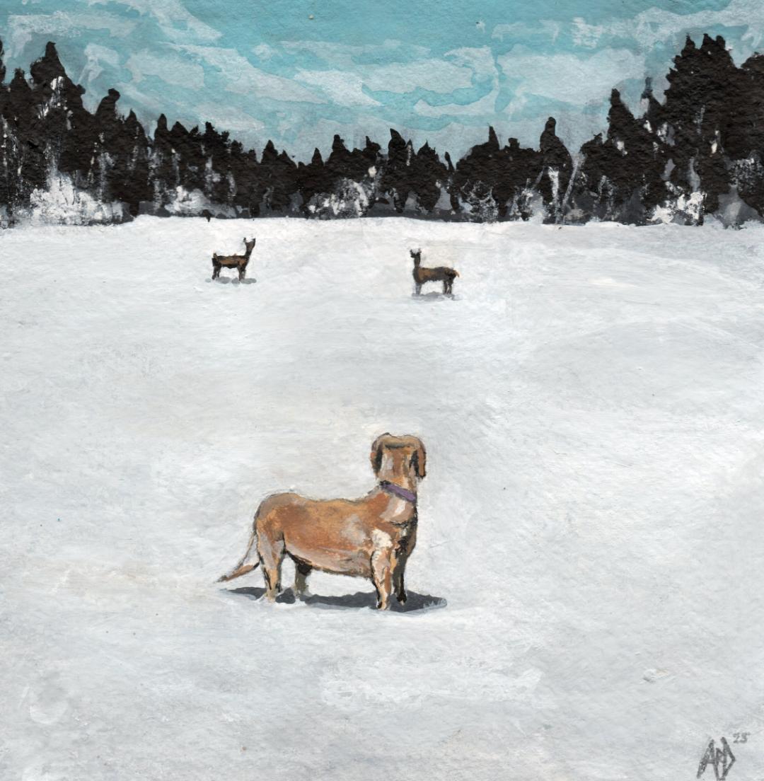 A Winter's Pause (Paws), Single Christmas Card