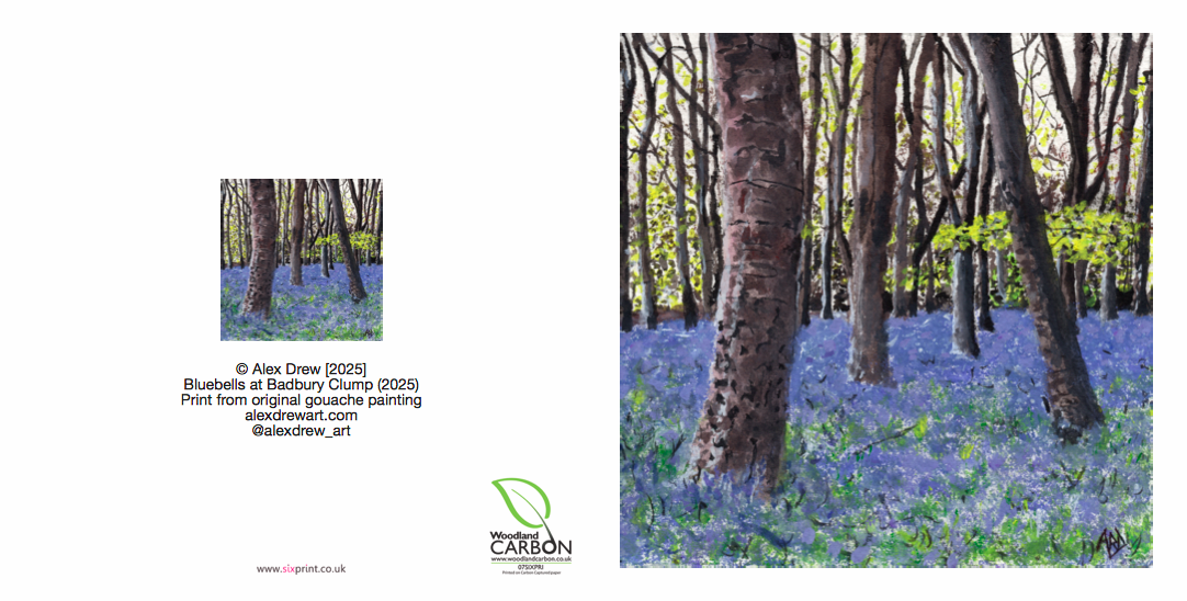 Bluebells at Badbury Clump, Single Card