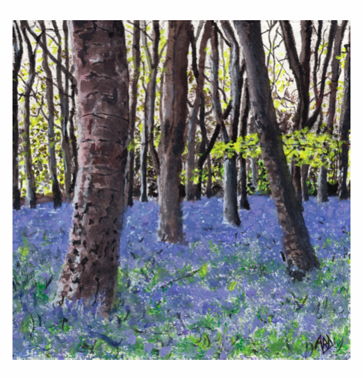 Bluebells at Badbury Clump, Single Card