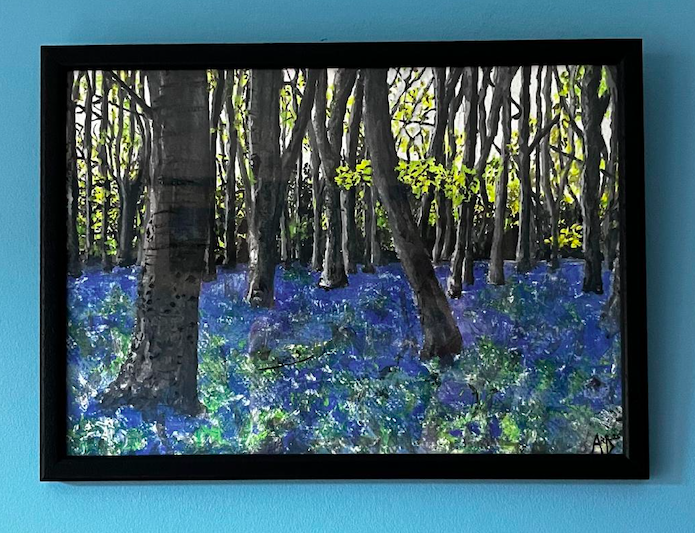 Bluebell Woods